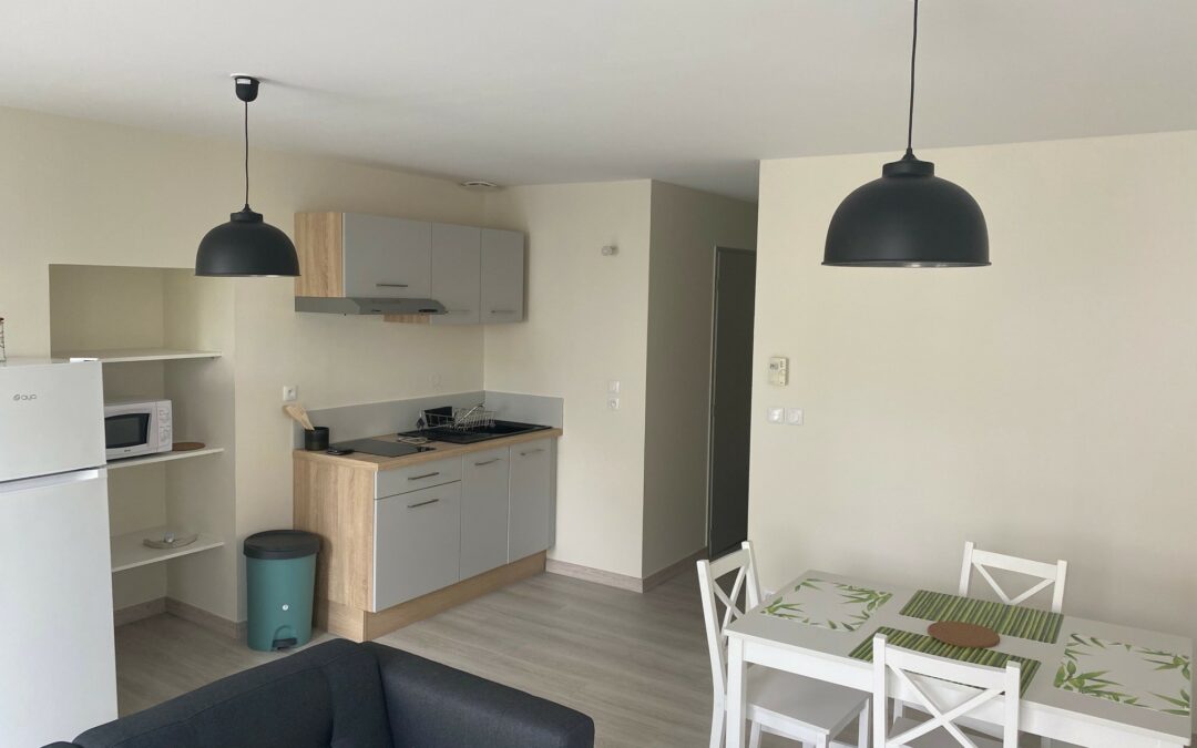 Angoulême – Minage – Appt F2 rénové meublé